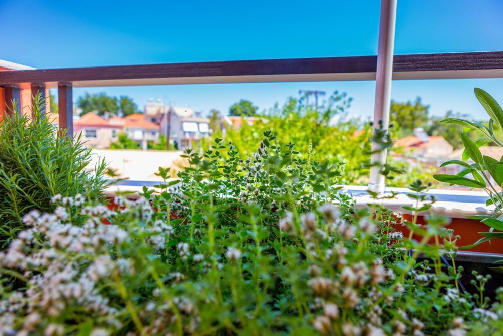 Koukounari Living Spaces Preveza Bagian luar foto